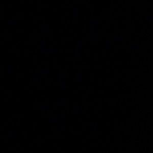 Meet your Posher, Erich